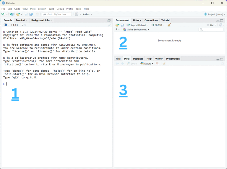 RStudio Environment