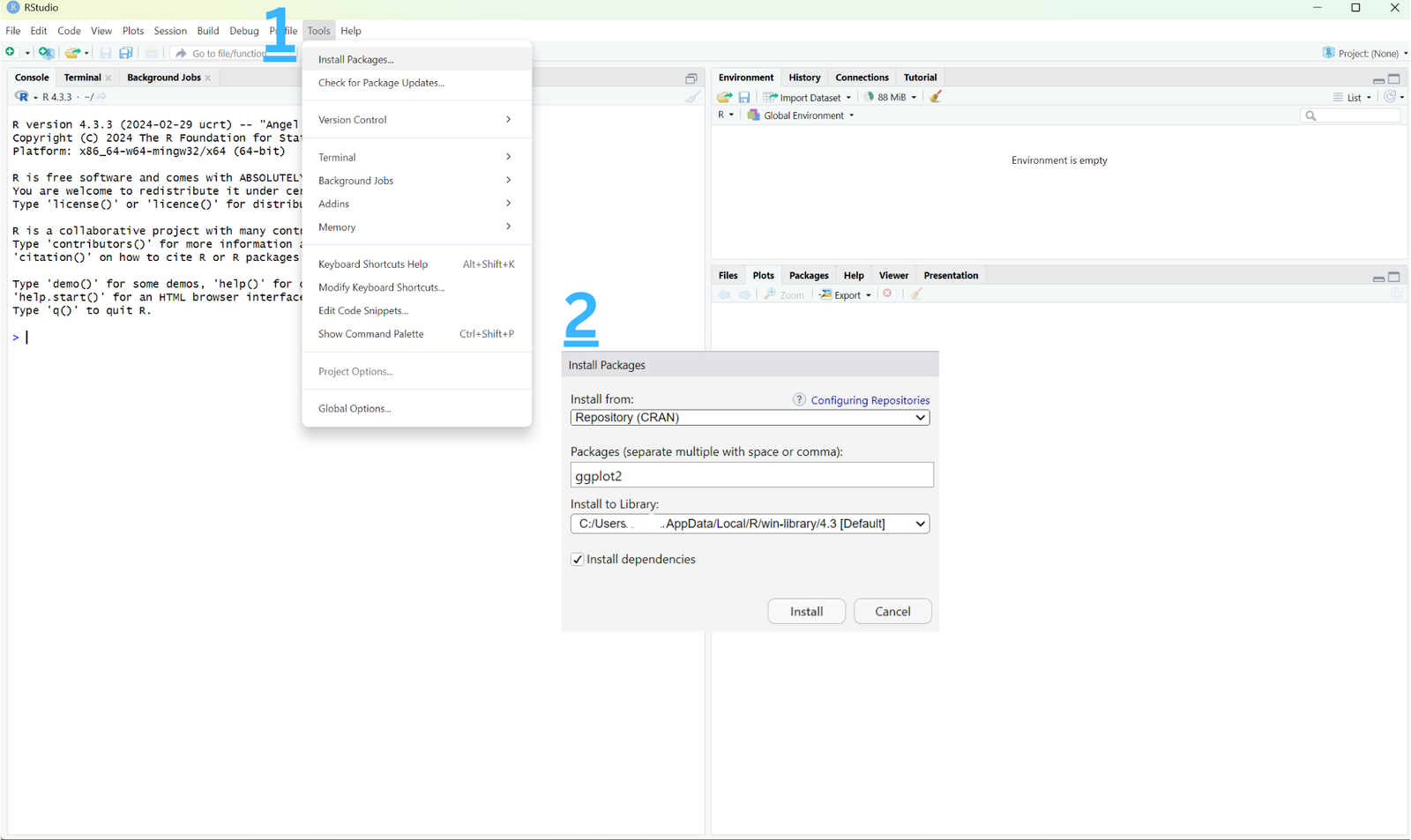 RStudio Environment